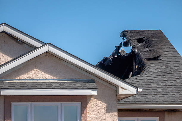 Licensed Board Up Services service in Cortez, FL - Fire Damage Laser Cleaning
